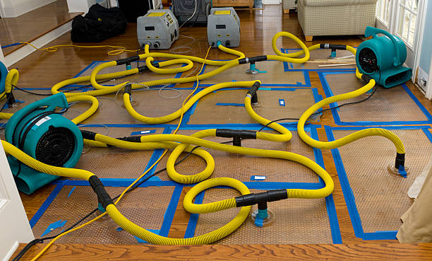 Professional Basement Flood Cleanup technician working in Yorkville, OH